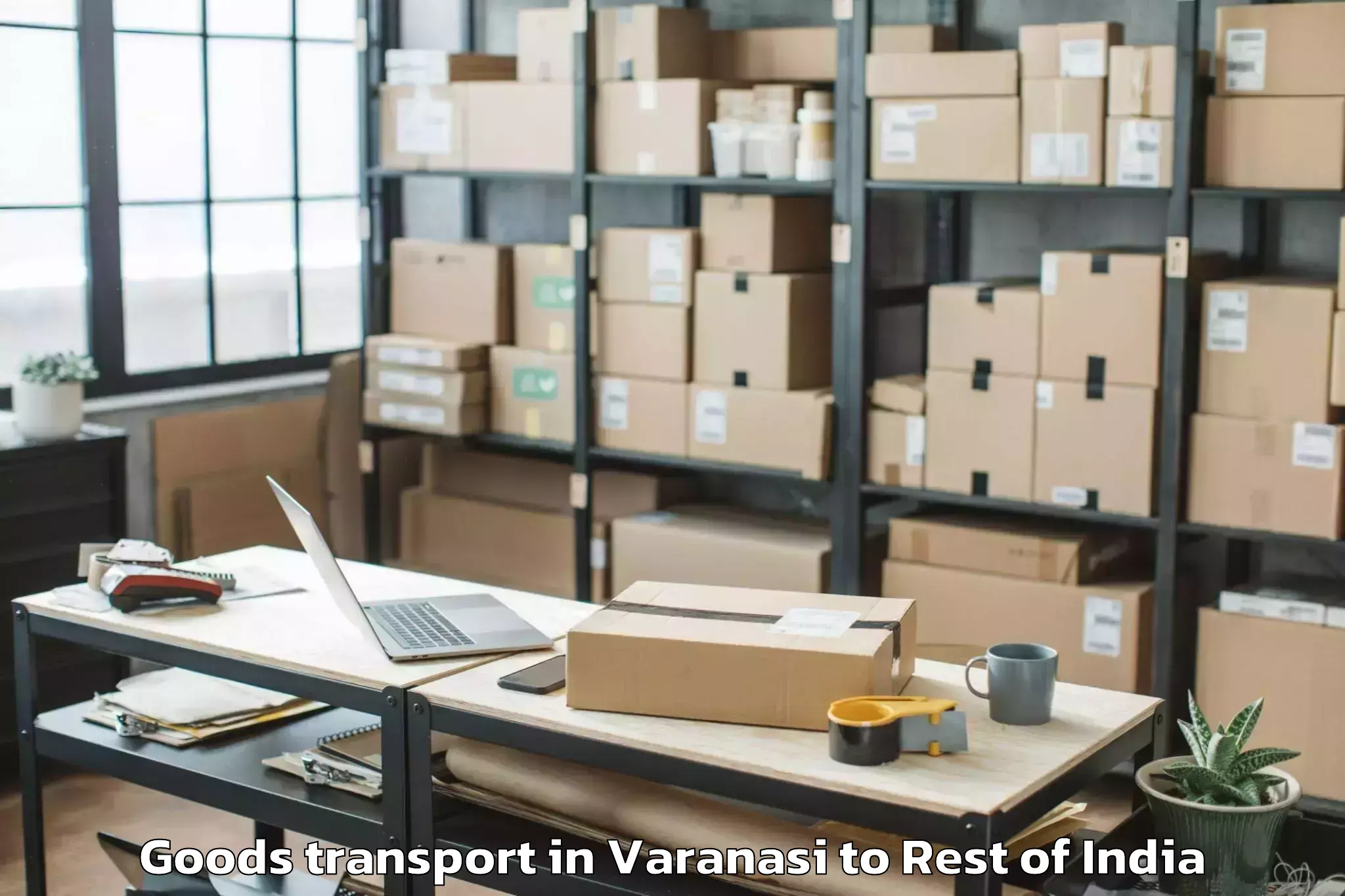 Reliable Varanasi to Kadam Project Goods Transport